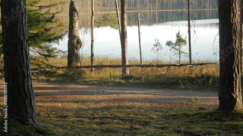 A cycling tourist is riding along a lakeside trail in an autumn forest.