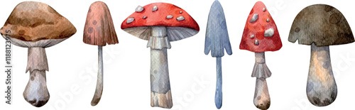 Watercolor hand painted mushroom set. Amanita, nature, magic, forest, mystical. Illustration isolated on white background. Use it for postcards, invitations, and scrapbooking.