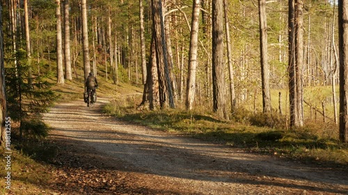 A cycling tourist enjoys bikepacking adventure on a sunny day in forest