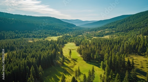 A breathtaking aerial view of a forest landscape captured by a drone showcases the lush trees and natural features.