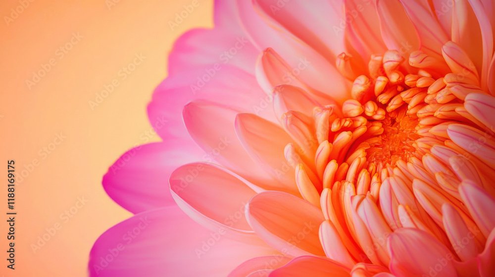 A smooth gradient background featuring vivid shades of orange and pink, creating an eye-catching and vibrant backdrop ideal for modern product advertisements A smooth gradient background featuring vivid shades of orange and pink, creating an eye-catching and vibrant backdrop ideal for modern product advertisements