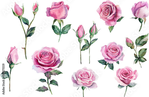 seamless pattern with pink roses