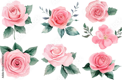 pattern with pink roses