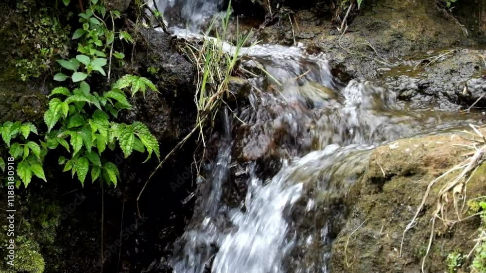 Brook river flow with green grass around.Natural spring water.Concept of nature and environment.Clear and fresh water.Footage 4K,60Fps.Tranquility and relaxation Brook river flow with green grass around.Natural spring water.Concept of nature and environment.Clear and fresh water.Footage 4K,60Fps.Tranquility and relaxation