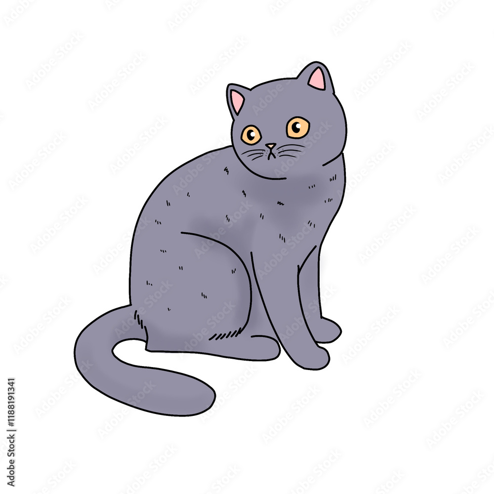 Obraz premium cat