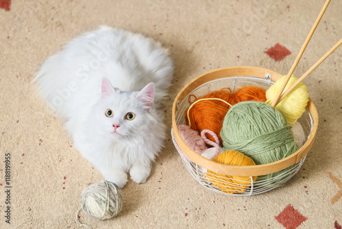 Cute white cat with knittin...