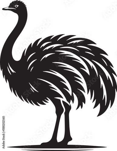 Ostrich Silhouette line art vector illustration on white background photo