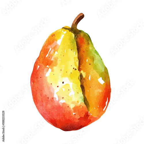 A watercolor vector painting of a Hala fruit, isolated on a white background. Hala fruit vector.

