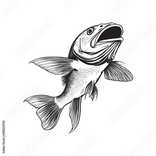 Atlantic Cod fish vector illustration, Sea fish different poses Design
