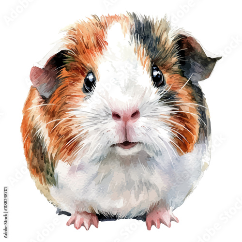 A watercolor vector painting of a guinea pig, isolated on a white background. Guinea pig vector.


