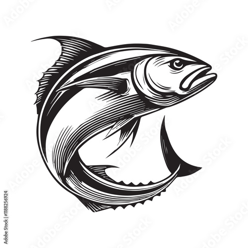 European seabass fish vector illustration, Sea fish different poses Design
