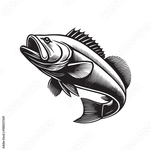 Goliath grouper fish vector illustration, Sea fish different poses Design Goliath grouper
