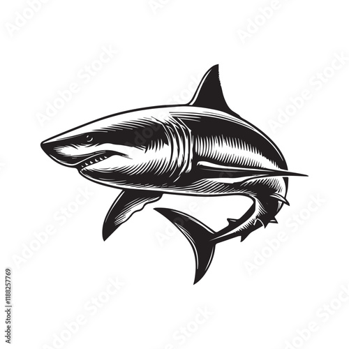 Great white shark fish vector illustration, Sea fish different poses Design