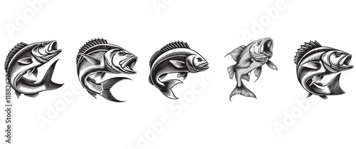 Red Snapper fish vector illustration, Sea fish different poses Design

