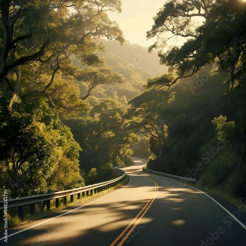 road in the morning