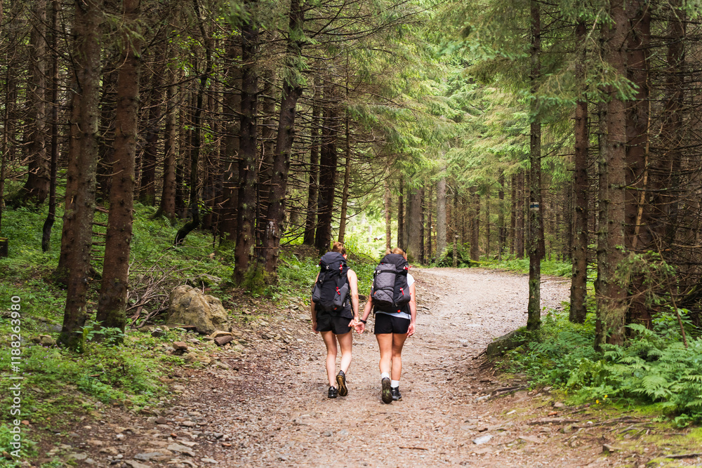 A couple of two young girls travelers walk in the Polish forest in Zakopane along a path that leads to the Tatra Mountains on a summer day. A couple of two young girls travelers walk in the Polish forest in Zakopane along a path that leads to the Tatra Mountains on a summer day.