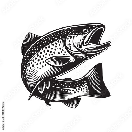 Trout fish vector illustrations, Sea fish Clipart Design

