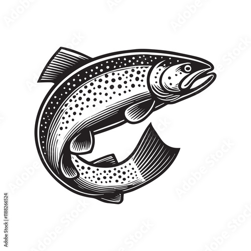 Trout fish vector illustrations, Sea fish Clipart Design

