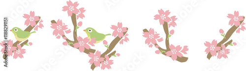 桜の枝とメジロのイラスト
