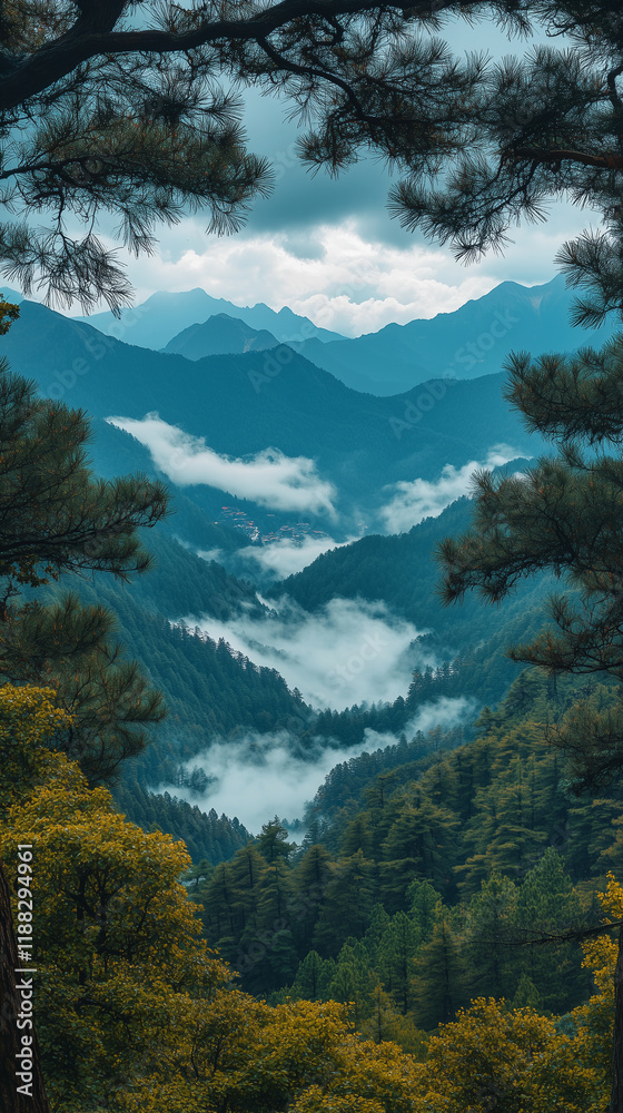 Fototapeta premium View from high in the mountains with trees framing the picture.