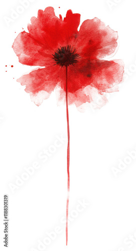 Watercolor brush strokes of poppy flower