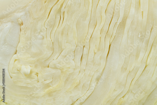 Wallpaper Mural Macro Texture Cut White Cabbage, Abstract Vegetable Natural Background. Torontodigital.ca