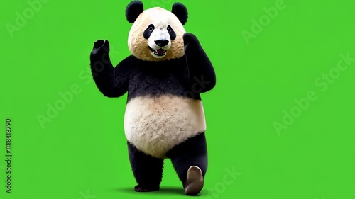 Groovy Panda Dance: A playful giant panda, against a vibrant green screen, performs a fun and energetic dance, showcasing its adorable charm and playful nature.