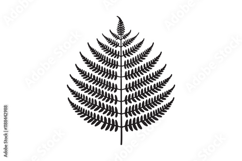 A black and white silhouette of a fern leaf 