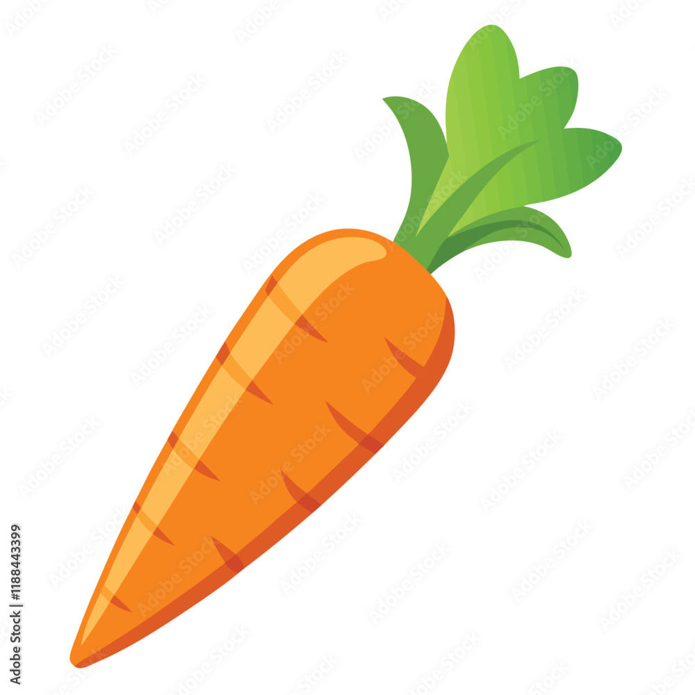 carrot isolated on white carrot isolated on white