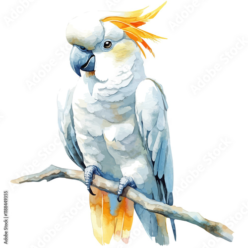 A watercolor vector painting of a cockatoo, isolated on a white background. Cockatoo vector.

