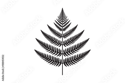 A black and white silhouette of a fern leaf 