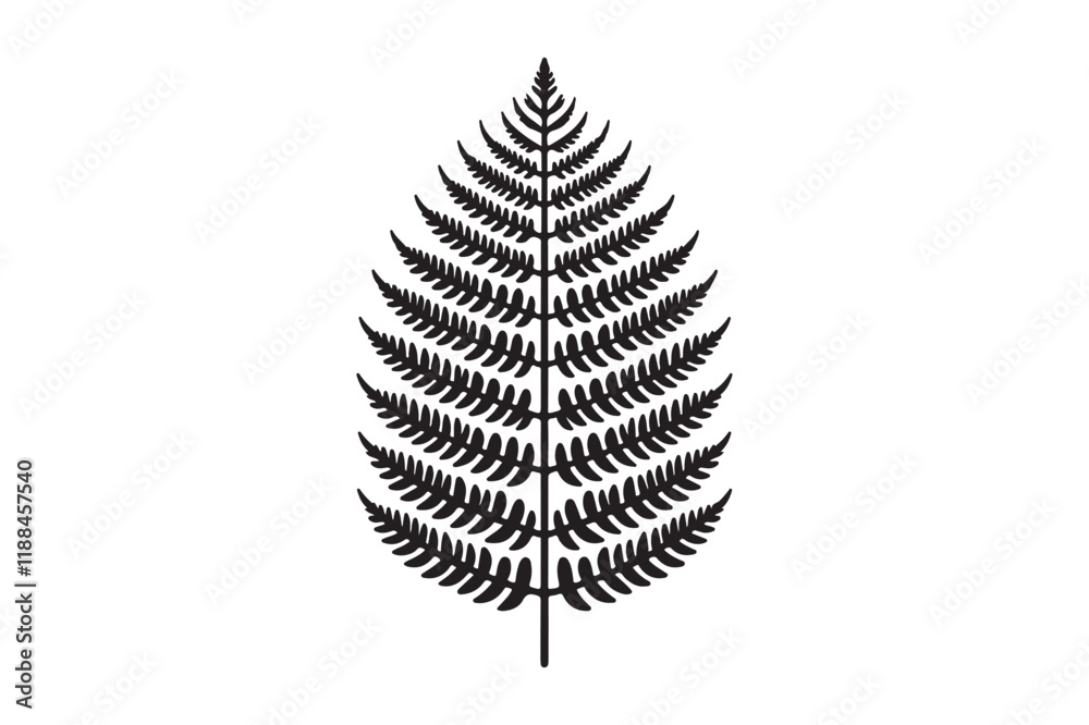 A black and white silhouette of a fern leaf A black and white silhouette of a fern leaf