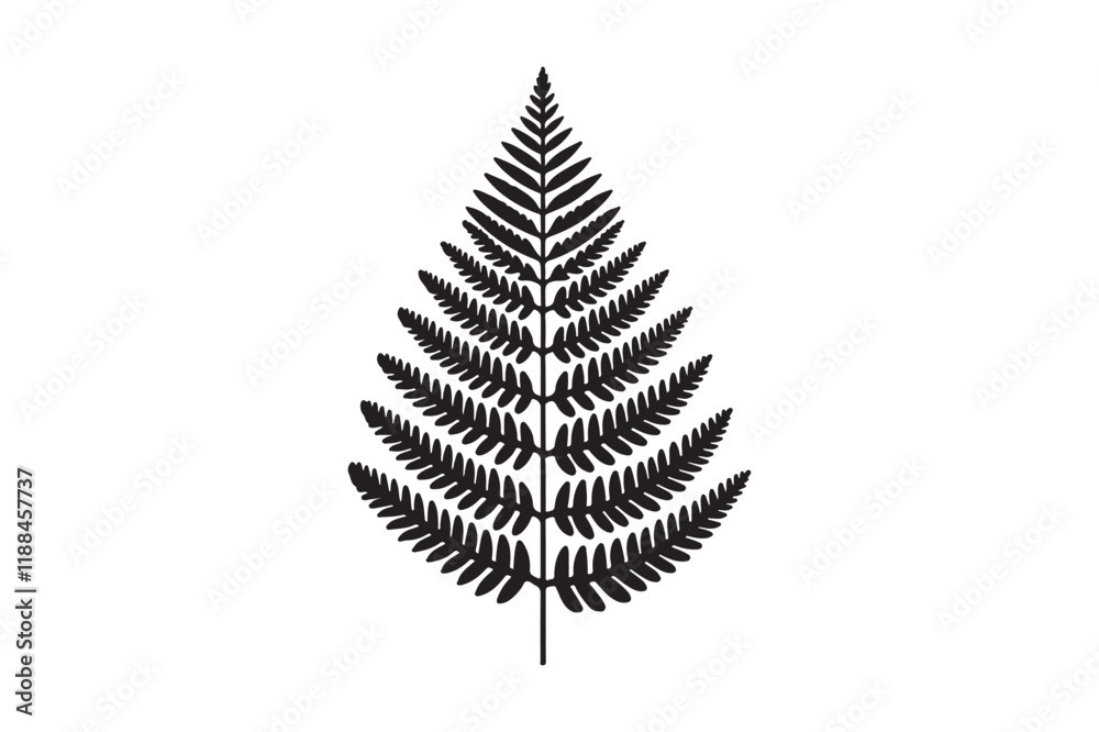 A black and white silhouette of a fern leaf A black and white silhouette of a fern leaf