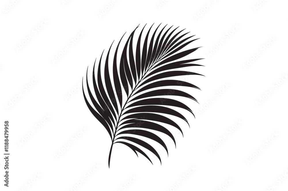 Fototapeta premium A Palm Tree Leaf Silhouette vector 