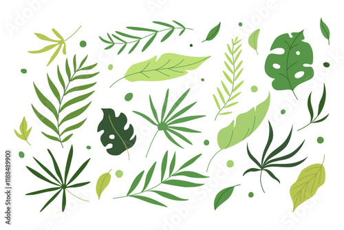 set of tropical leave illustration