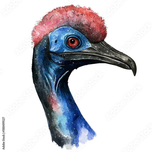 A watercolor vector painting of a cassowary, isolated on a white background. Cassowary vector.

