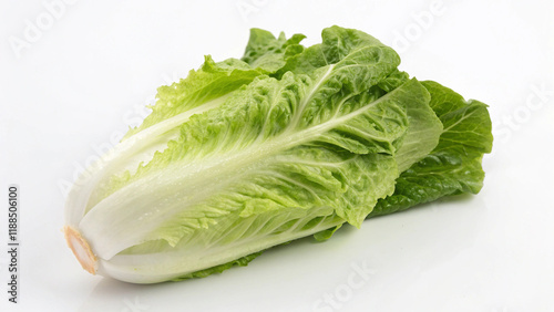 Chinese cabbage on a white background