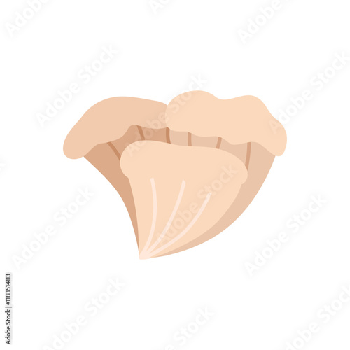 oyster mushroom illustration
