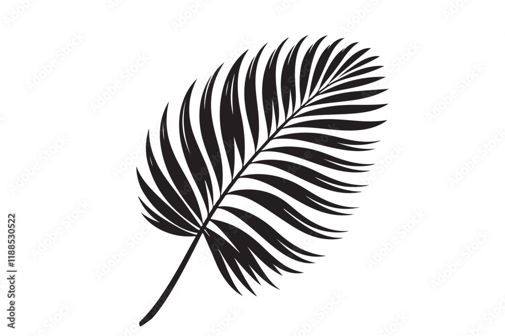 Obraz premium A Palm Tree Leaf Silhouette vector