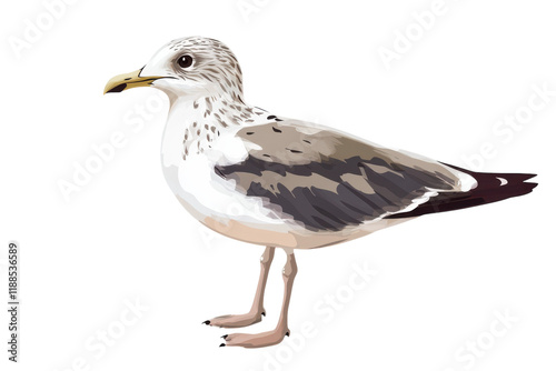 Isolated Seagull Against a transparent Background for Creative and Commercial Usage