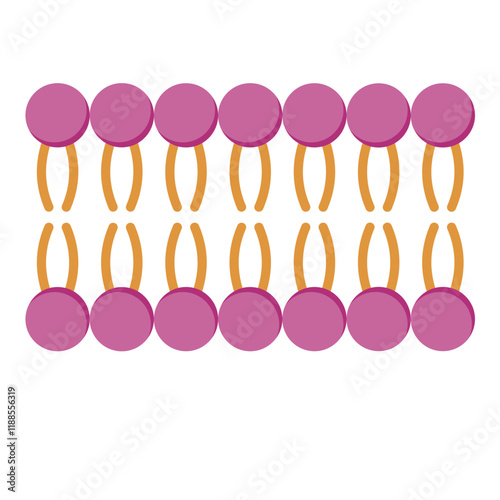 Micelle Structure, Soap Molecule, Micelle Formation. Vector illustration.