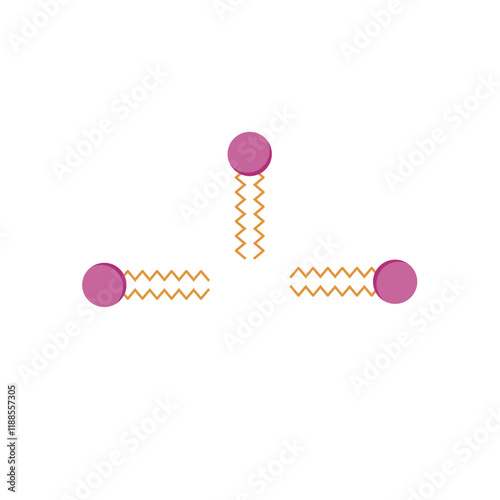 Micelle Structure, Soap Molecule, Micelle Formation. Vector illustration.