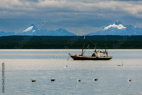 Puerto Natales, Magallanes Region, Chilean Antarctica, Patagonia, Republic of Chile, South America photo