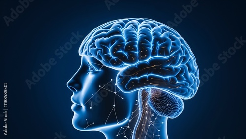 A 3D medical illustration of a human brain scan reveals intricate neural pathways within the skull, highlighting the complex anatomy of this vital organ