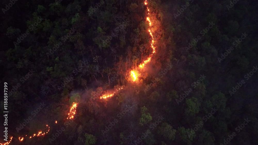 Wildfires release carbon dioxide (CO2) emissions and other greenhouse gases (GHG) that contribute to climate change.