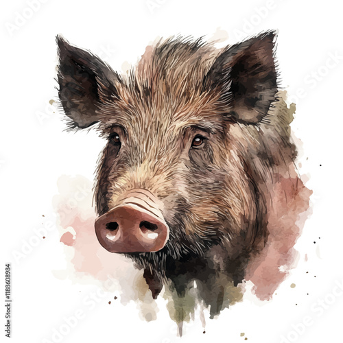 A watercolor vector painting of a boar, isolated on a white background. Boar vector.

