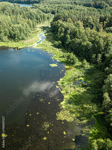 Lake, river and forest in s...