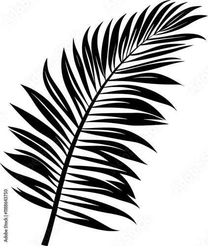 Black silhouette tropical vector icon revealing delicate exotic fern leaf palm veining, contrasting sharply against pristine white background