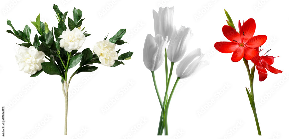 Obraz premium A vibrant set of isolated flowers featuring white gardenias, elegant white tulips, and striking red lilies. Perfect for floral decorations, design projects, or botanical-themed creative work.