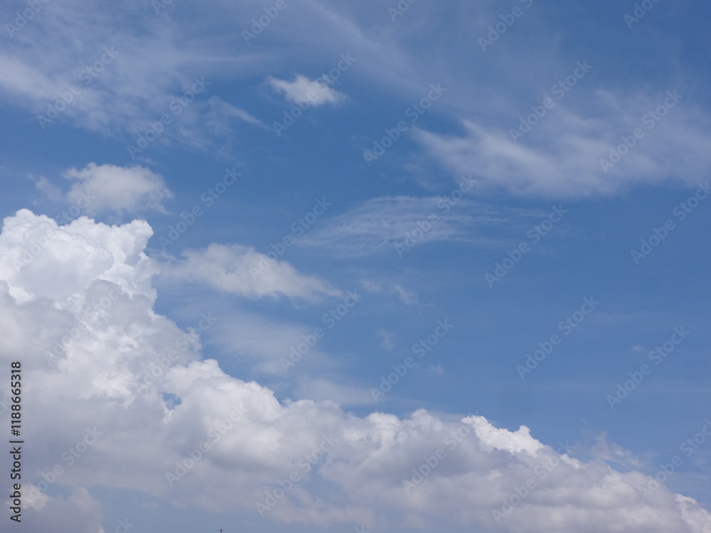 Clouds billow across the brilliant blue summer sky like cotton tufts, billowing, puffy, soft, the sky is bright blue and the clouds are white. The sky during the day has pure white clouds like cotton